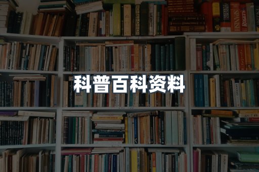 外文电子书系列